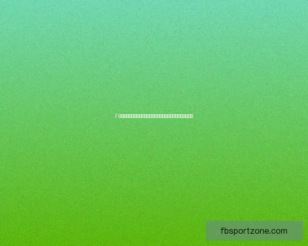 FB体育娱乐全新视角揭秘全球热点赛事背后的精彩故事与幕后花絮